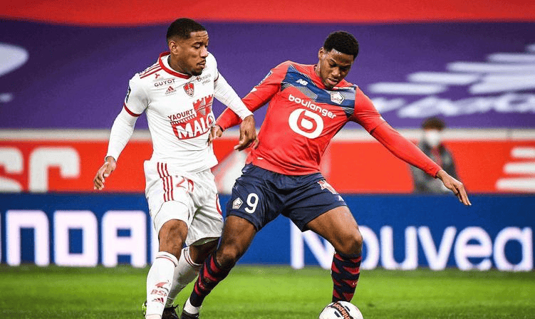 表现得淋漓 表现得淋漓