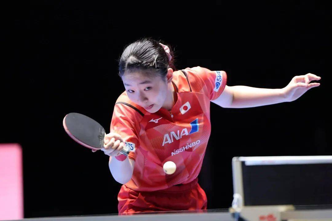 毅力和优雅 毅力和优雅