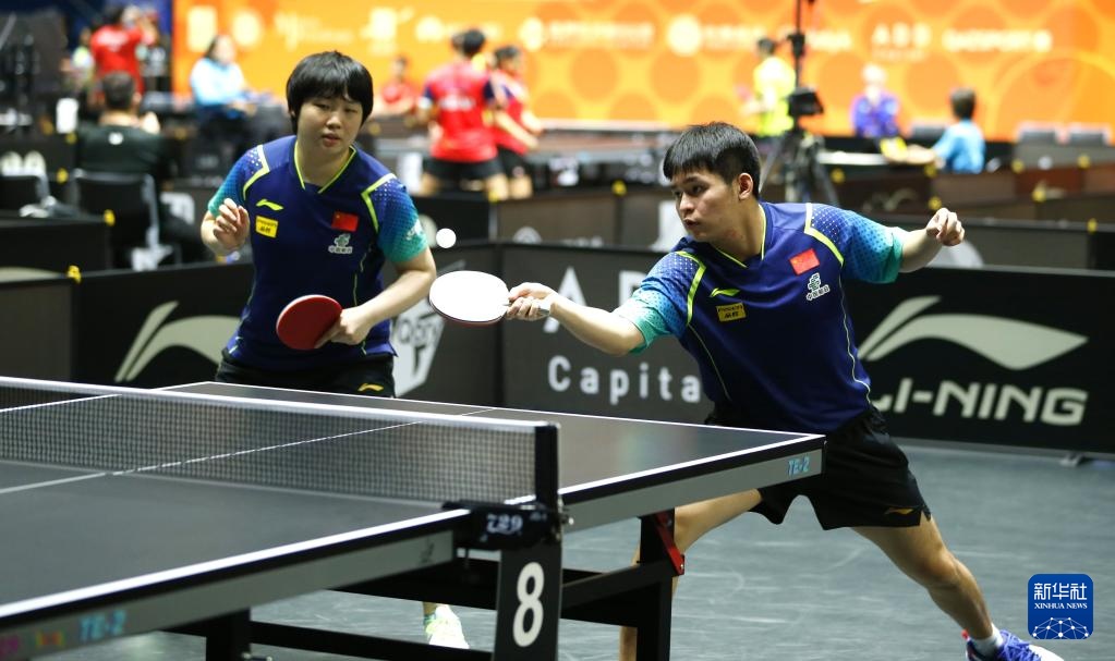 出色的封盖 出色的封盖