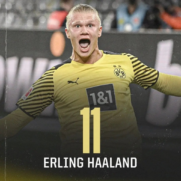 大名单暂未 大名单暂未