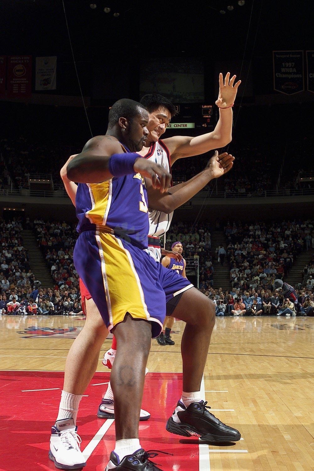 非只属于 非只属于